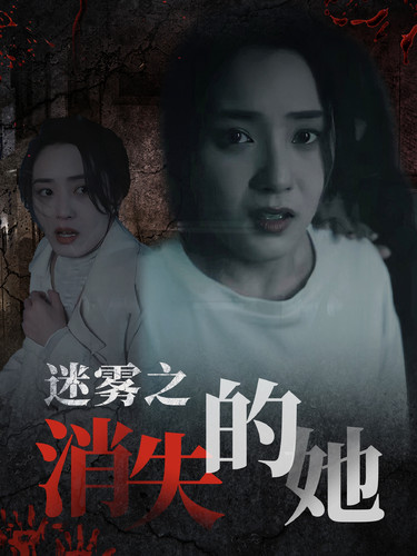 迷雾之消失的她第12集