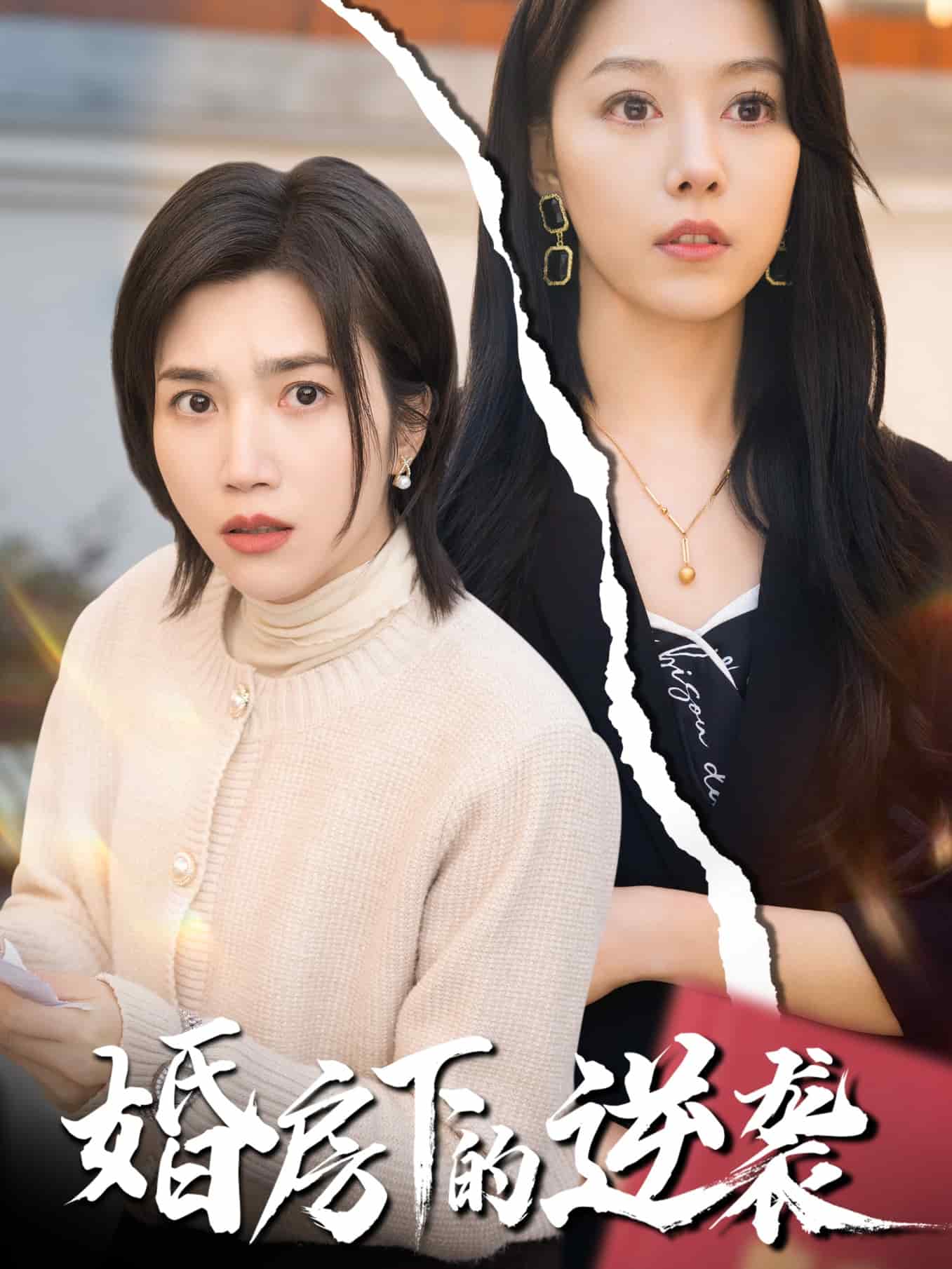 婚房下的逆袭第19集