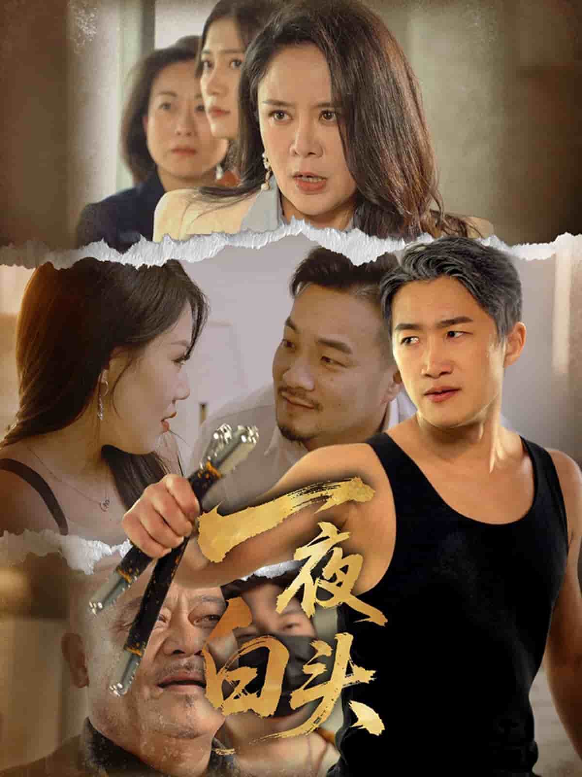 一夜白头第08集