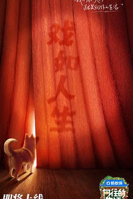 向往的生活第八季(全集)