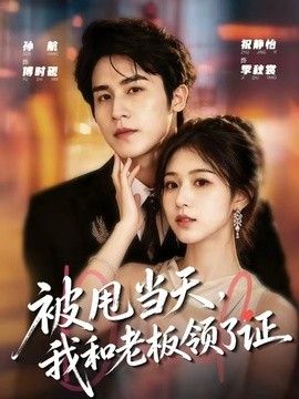 被甩当天，我和老板领了证(全集)