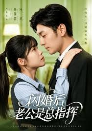 闪婚后老公是总指挥(全集)