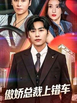 傲娇总裁上错车(全集)