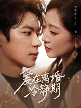 爱在离婚冷静期(全集)