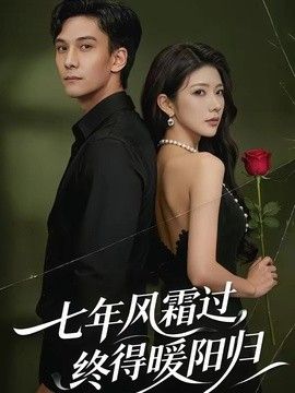 七年风霜过，终得暖阳归(全集)