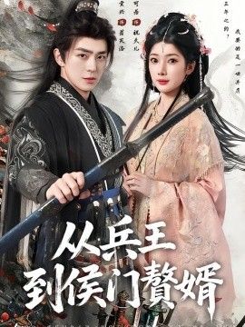 从兵王到侯门赘婿(全集)
