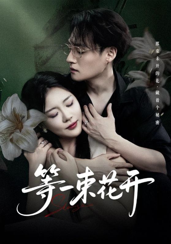 等一束花开(全集)