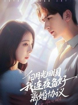 白月光回国我连夜备好离婚协议(全集)
