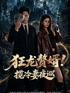 狂龙赘婿！揽冷妻夜巡(全集)