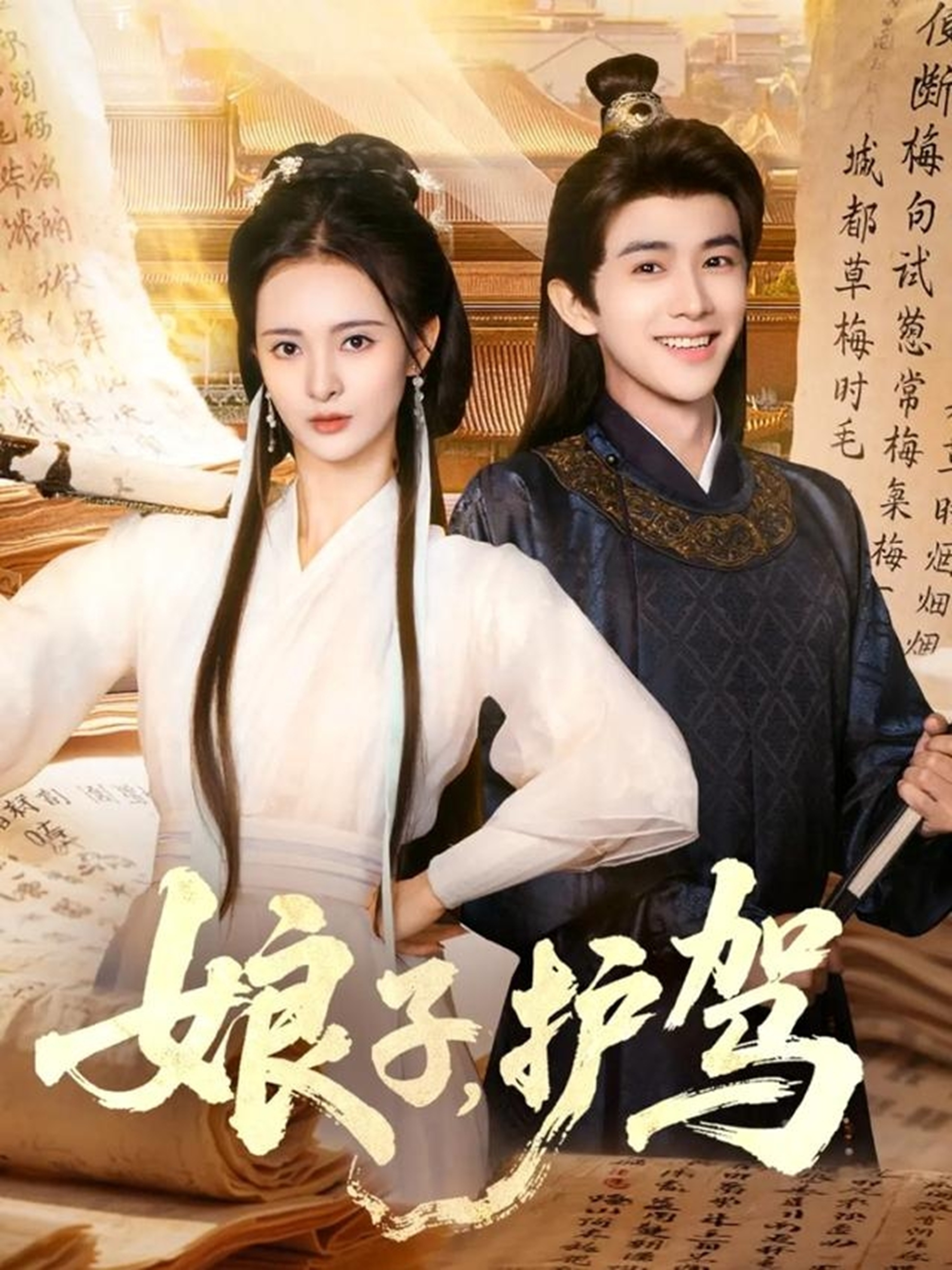 娘子护驾(全集)