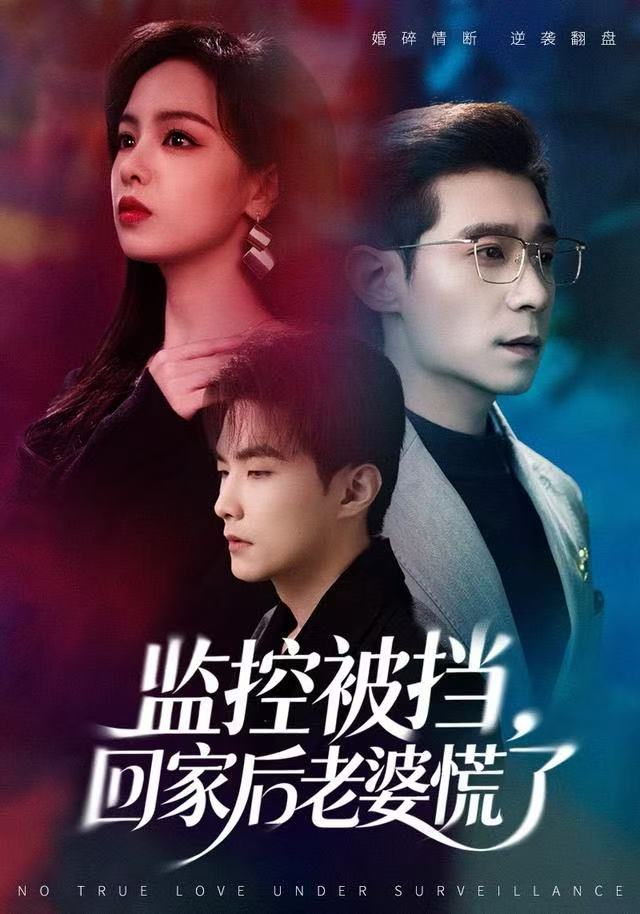 监控被挡，回家后老婆慌了第08集