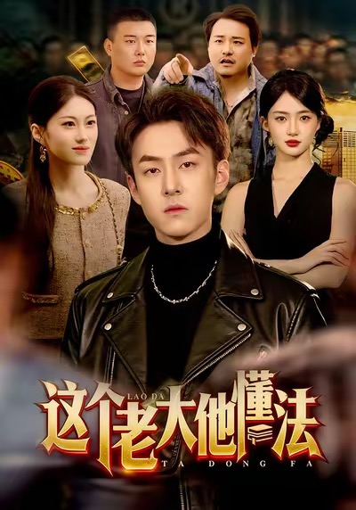 这个老大他懂法第83集