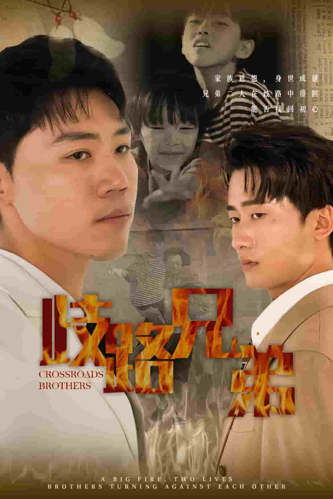 歧路兄弟第54集