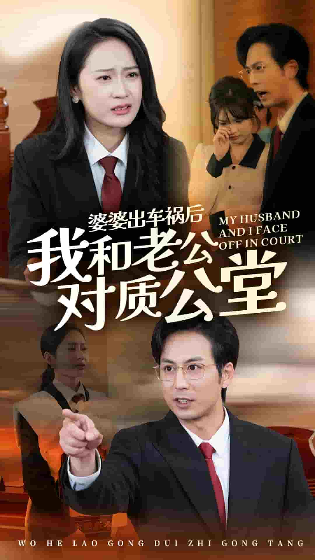 婆婆出车祸后我和老公对质公堂第10集