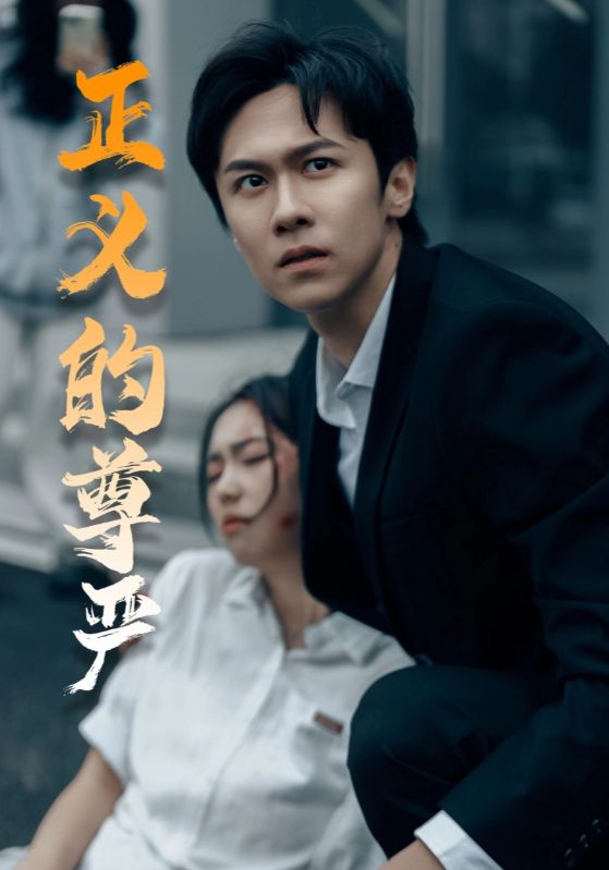 正义的尊严第10集