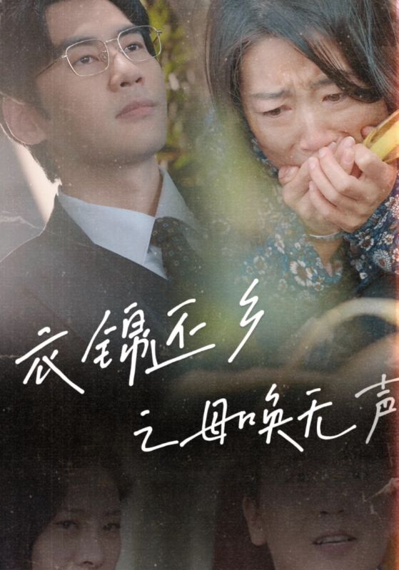 衣锦还乡之母唤无声第9集