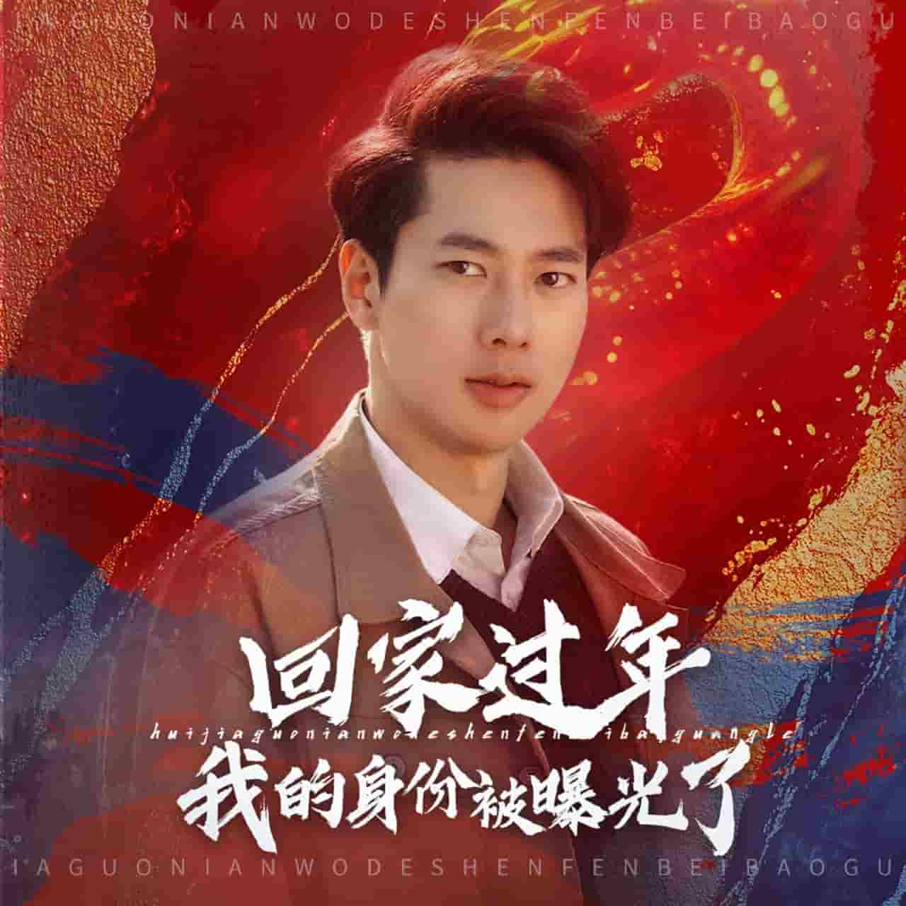 回家过年我的身份被曝光了第56集