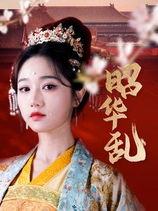昭华乱第19集
