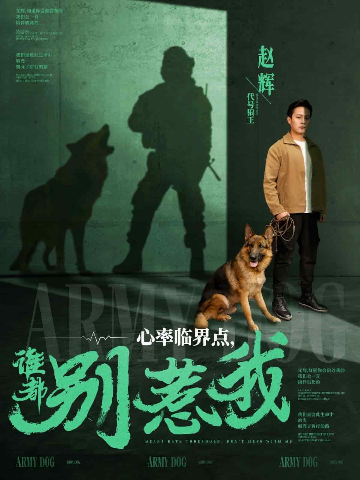 心率临界点谁都别惹我第91集