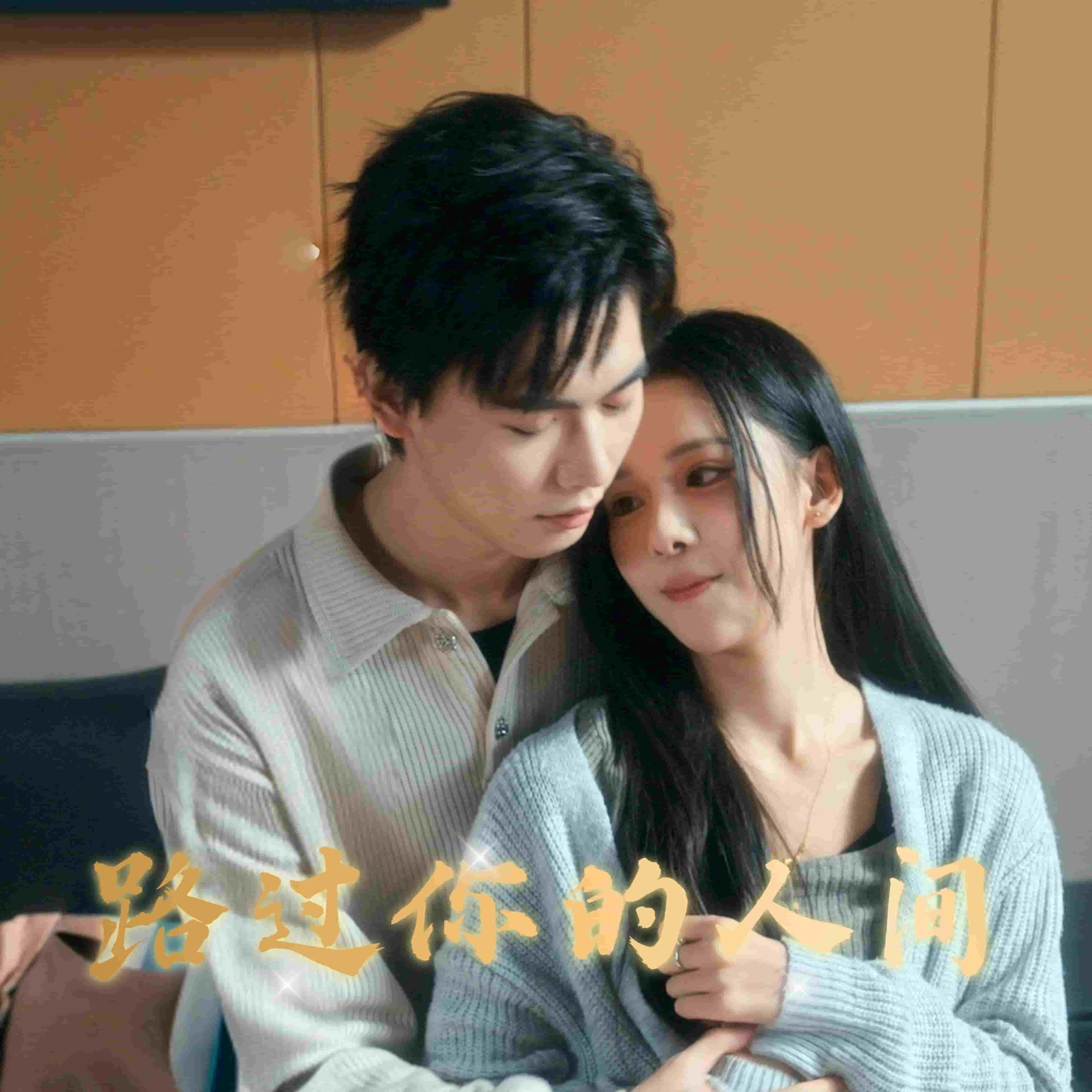 路过你的人间(全集)