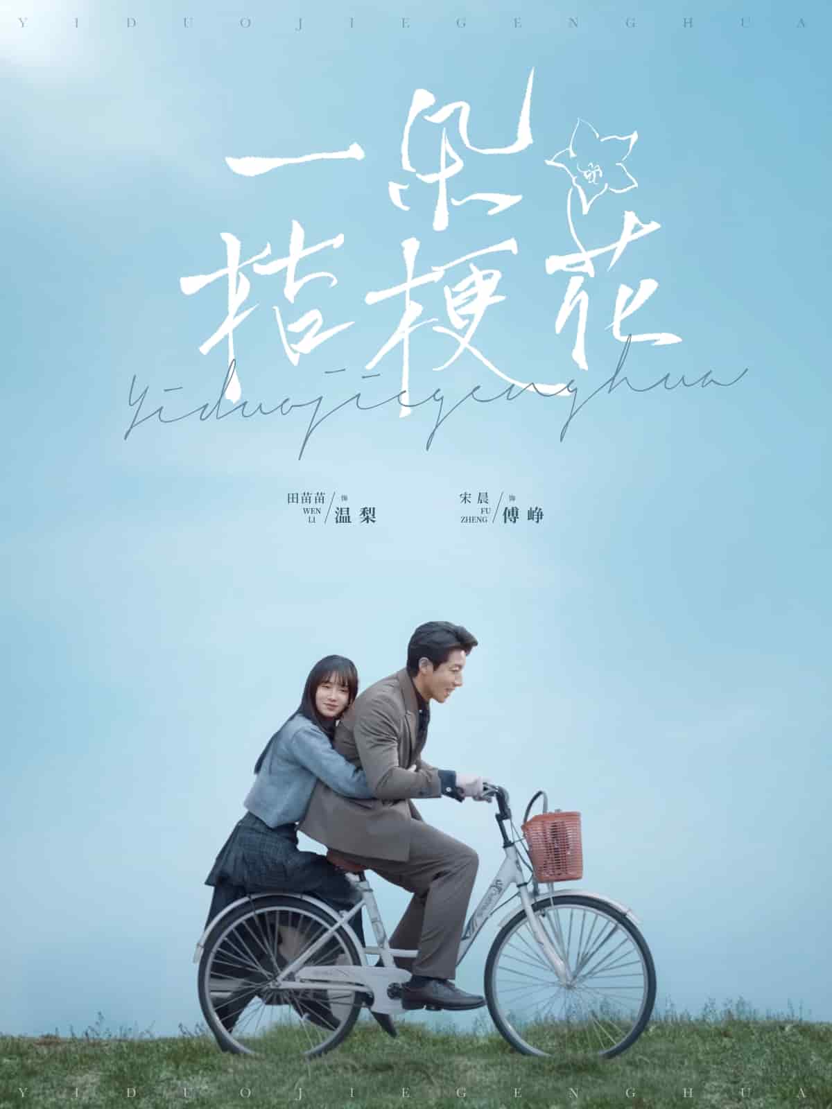 一朵桔梗花(全集)