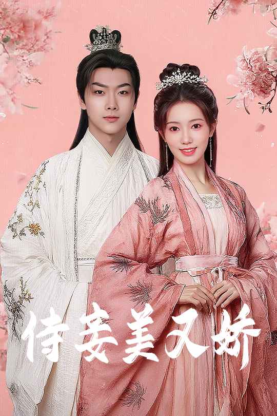 侍妾美又娇第25集