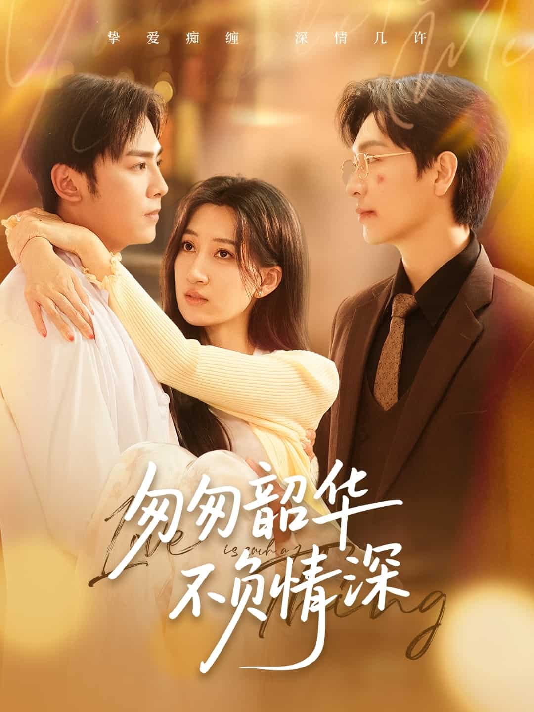 匆匆韶华不负情深第37集