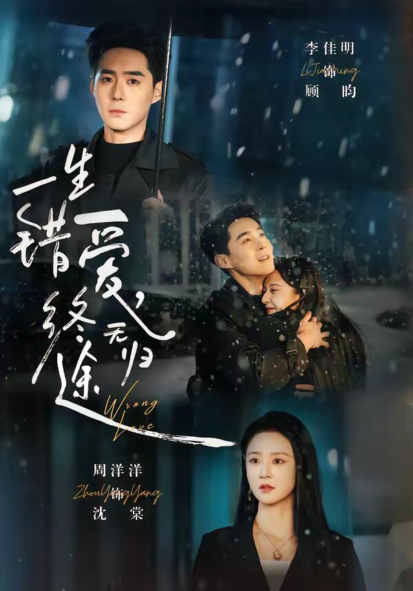 一生错爱，终无归途第48集